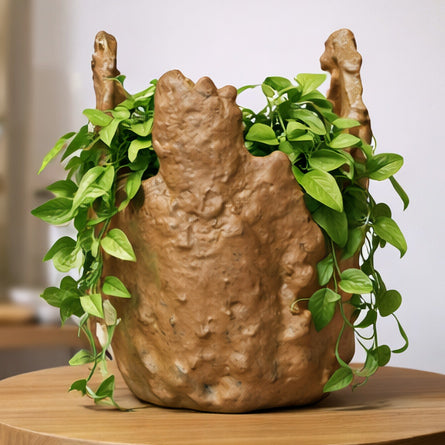 UNIQUE SCULPTURAL ORGANIC PLANTER