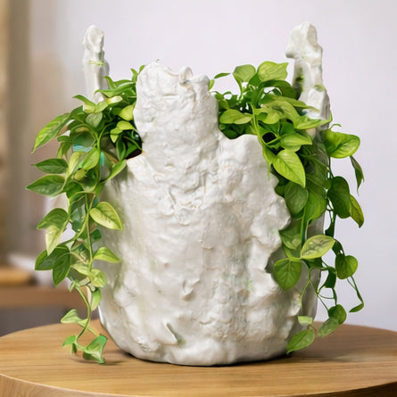 UNIQUE SCULPTURAL ORGANIC PLANTER