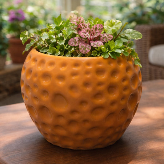 ORGANIC PLANTER POT