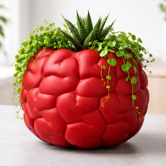 BRAIN PLANTER POT