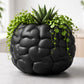 BRAIN PLANTER POT