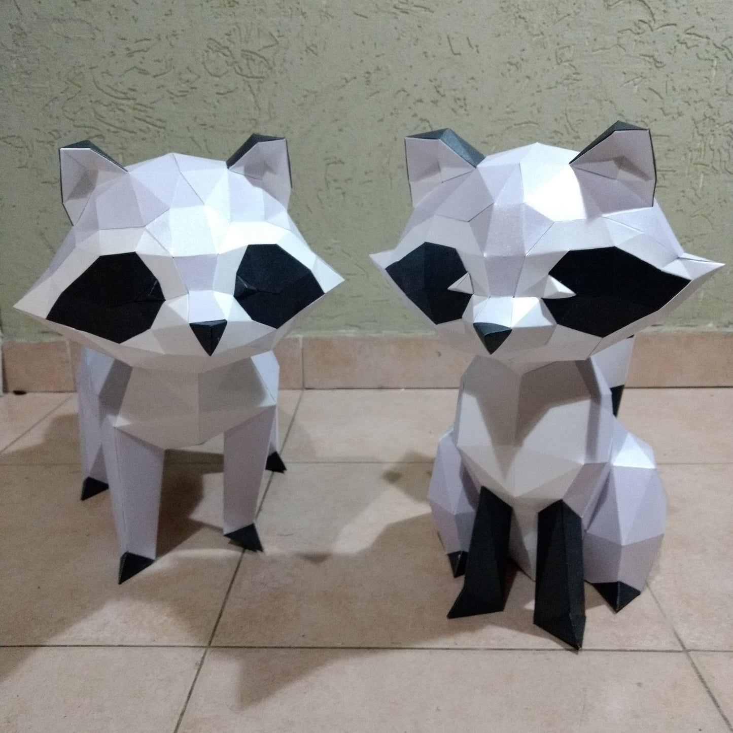 Raccoon