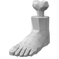 Amputated leg