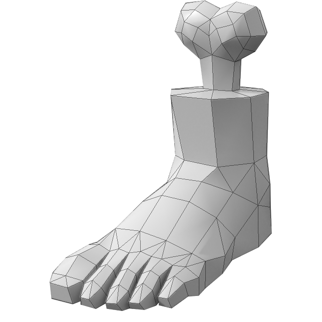 Amputated leg