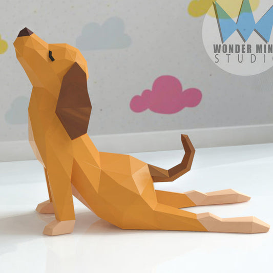Dog Yoga