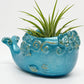 WHALE POT