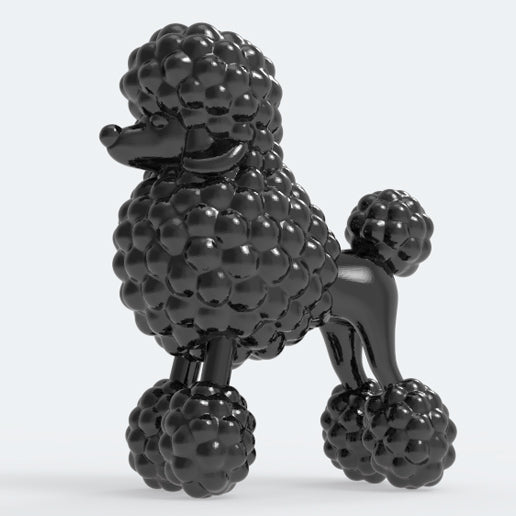 POODLE