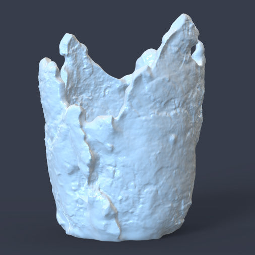 UNIQUE SCULPTURAL ORGANIC PLANTER