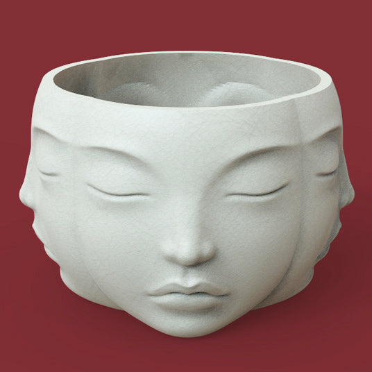 MULTI-FACE PLANTER POT