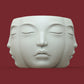 MULTI-FACE PLANTER POT