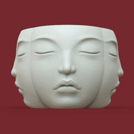 MULTI-FACE PLANTER POT