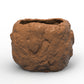 FLOWER POT