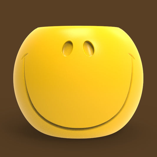 SMILEY FACE PLANTER POT