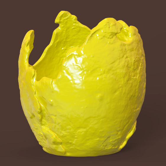 UNIQUE SCULPTURAL ORGANIC PLANTER