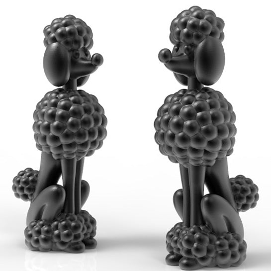 POODLE