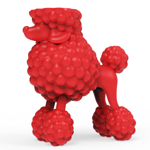 POODLE HOLDER