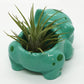 BULBASAUR PLANTER