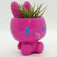 BUNNY POT