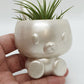 BUNNY POT