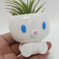 BUNNY POT
