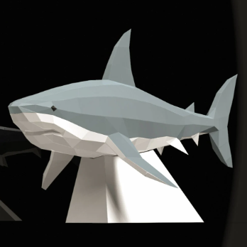 Shark