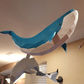 Whale
