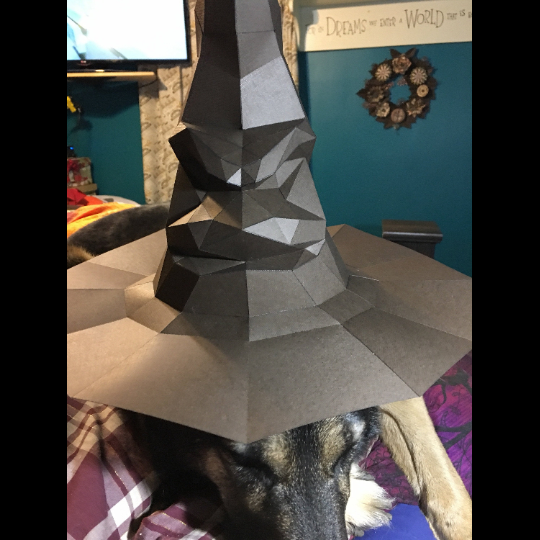 Magician Hat