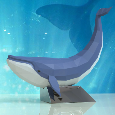 Whale