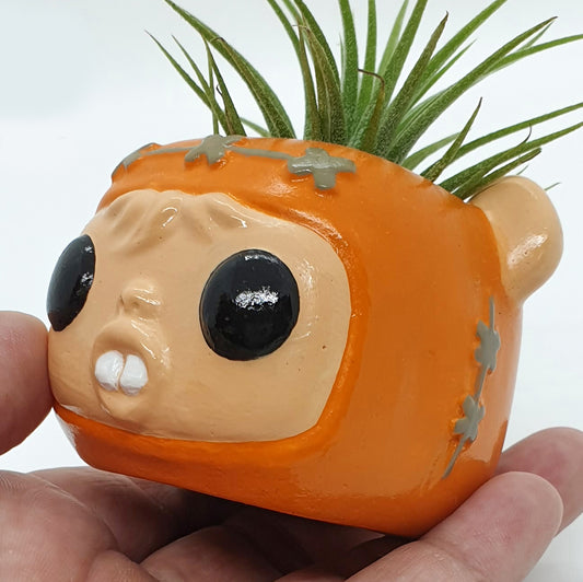 EWOK PLANTER
