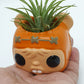 EWOK PLANTER