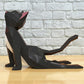 Cat Yoga