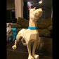 Scooby Doo