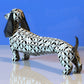 Dachshund