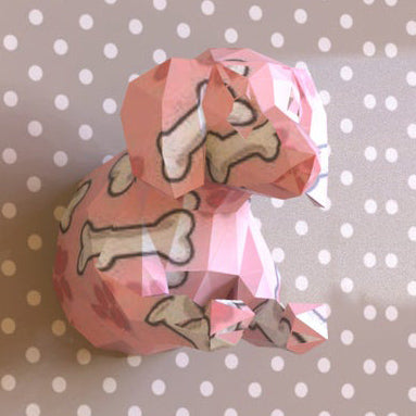 Dachshund