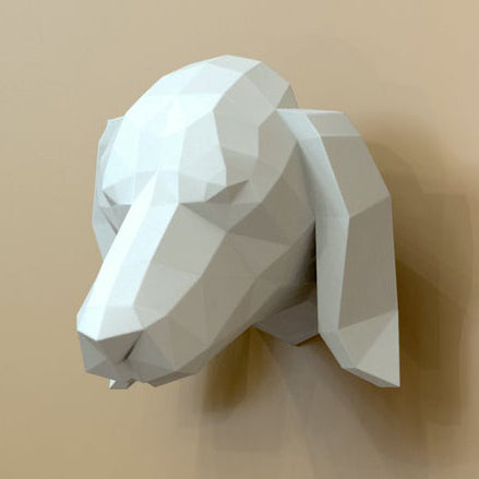 Dachshund