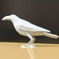 Crow