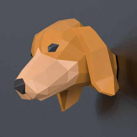Dachshund
