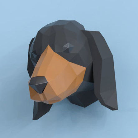 Dachshund