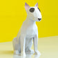 Bull Terrier Dog