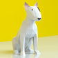 Bull Terrier Dog