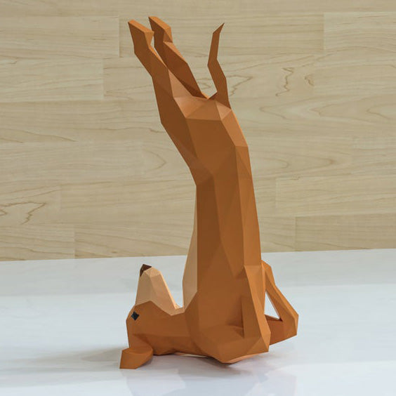 Yoga Dog