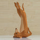 Yoga Dog