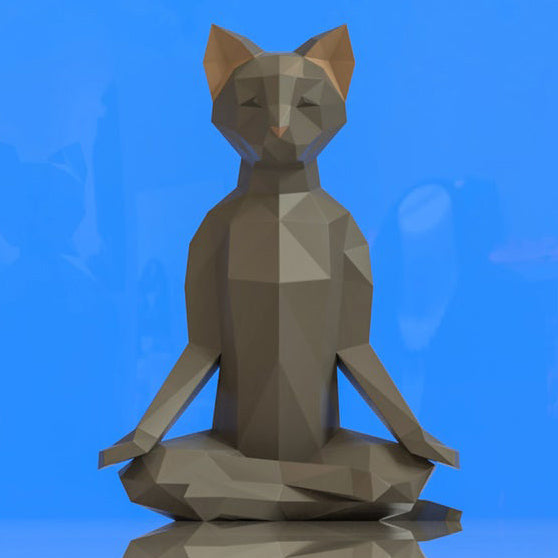 Cat meditation