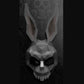 Frank Rabbit, Donnie Darko