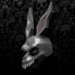 Frank Rabbit, Donnie Darko