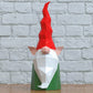 Gnome Elf