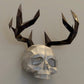 Skull with Horns wall decor