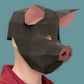 Pig Mask