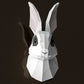 Rabbit Head