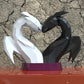 Toothless & Light Fury